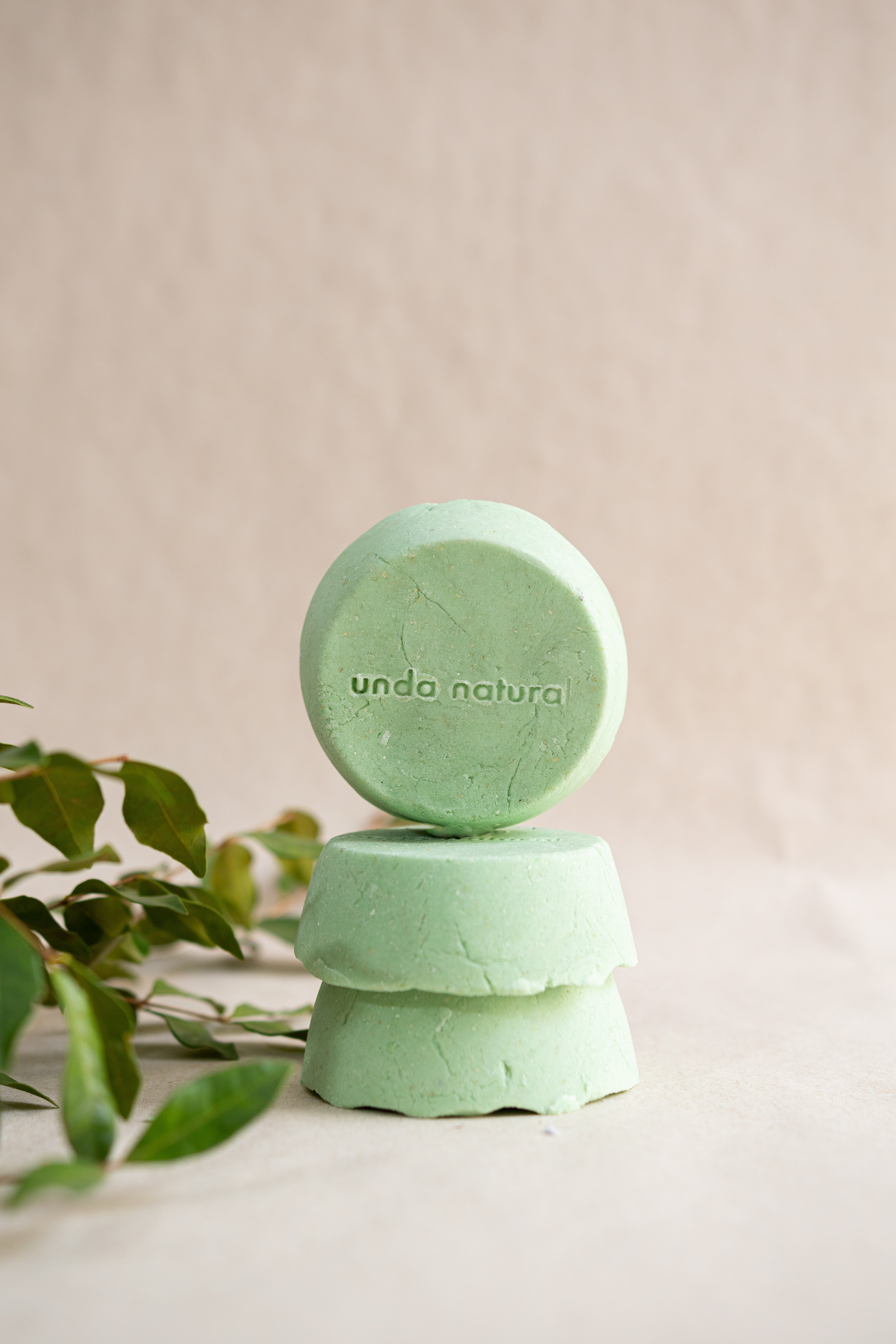 Green Tea<br /> Shampoo té verde