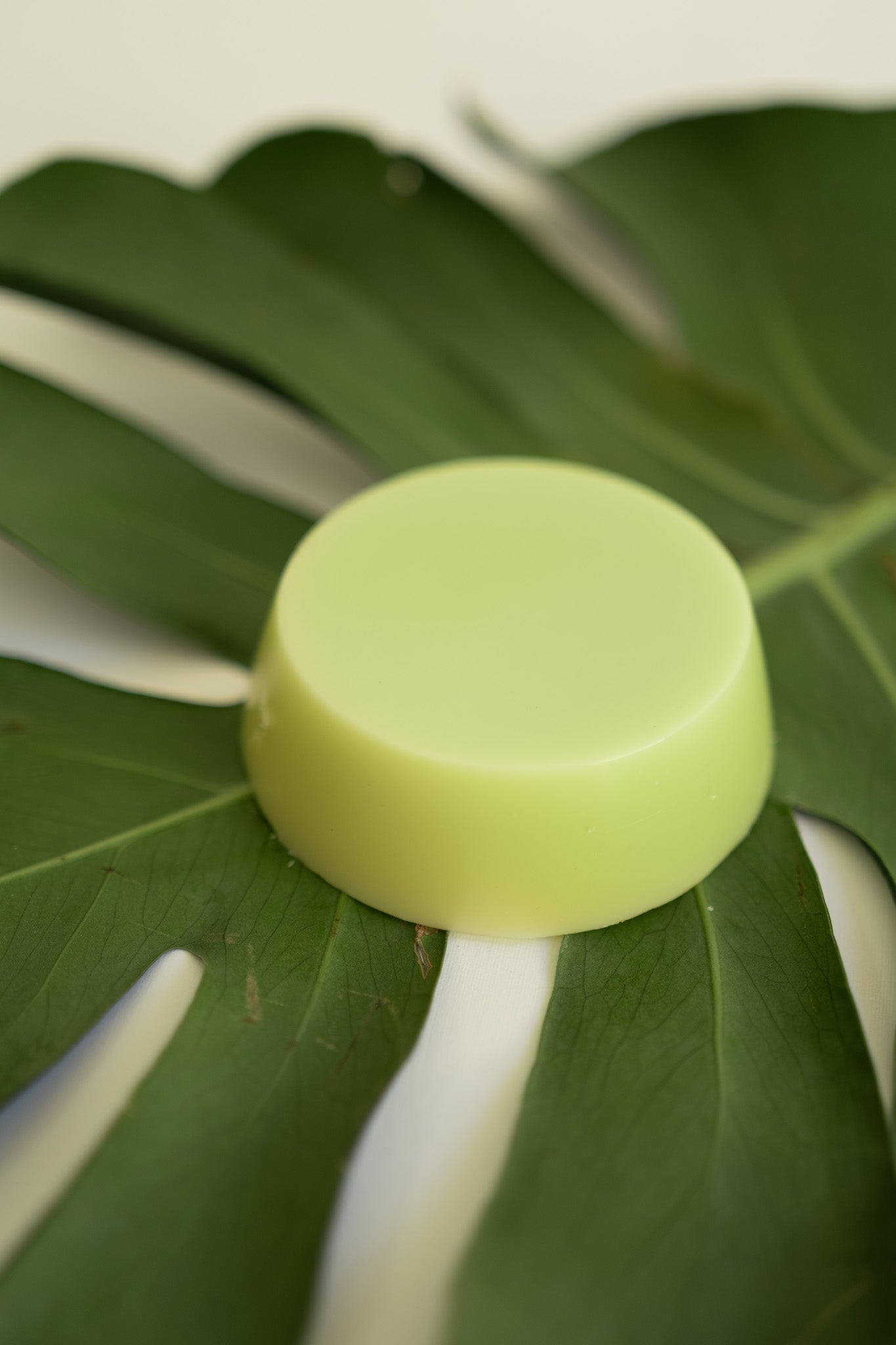 Verde Botánico<br />Acondicionador té verde