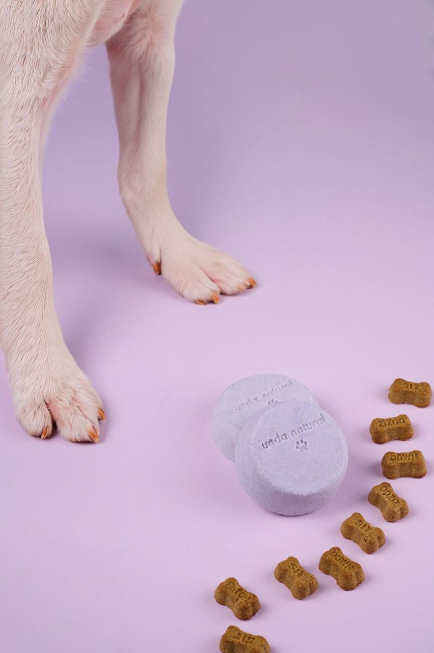 Shampoo perrhijo